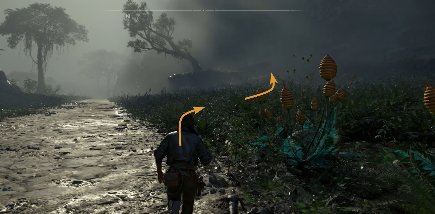 Smuggler Cache 83 Location
