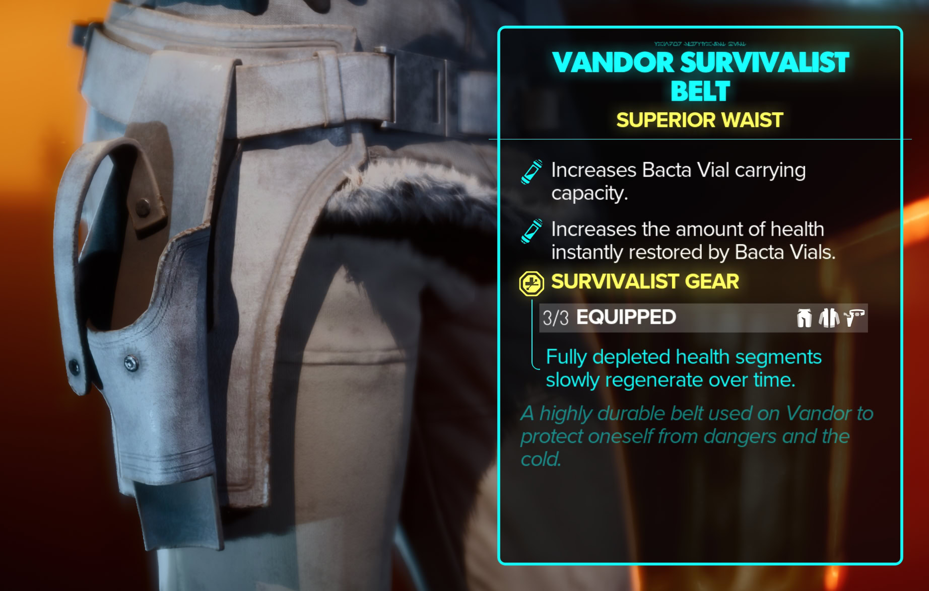 Vandor Survivalist Stats, Set Bonus, and Close-ups - belt