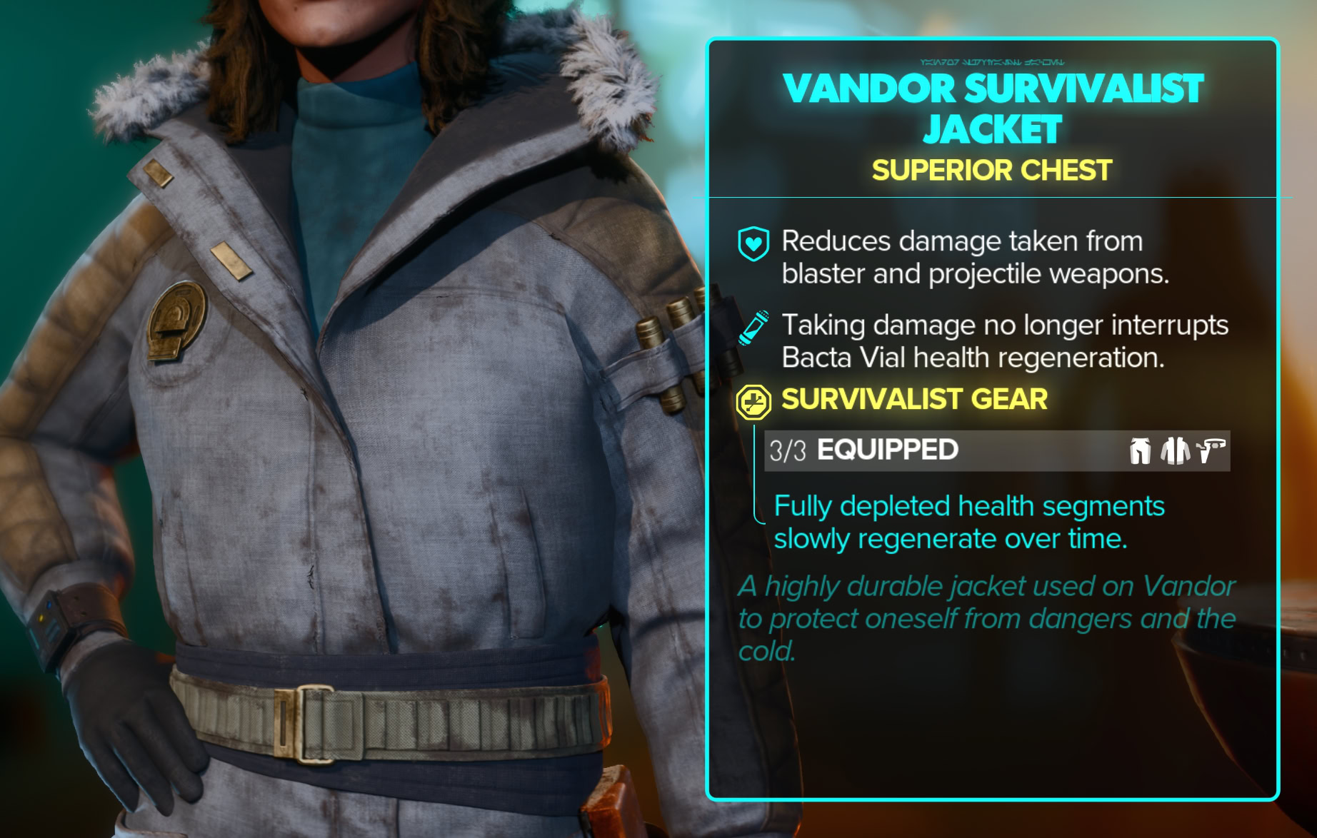 Vandor Survivalist Stats, Set Bonus, and Close-ups - jacket