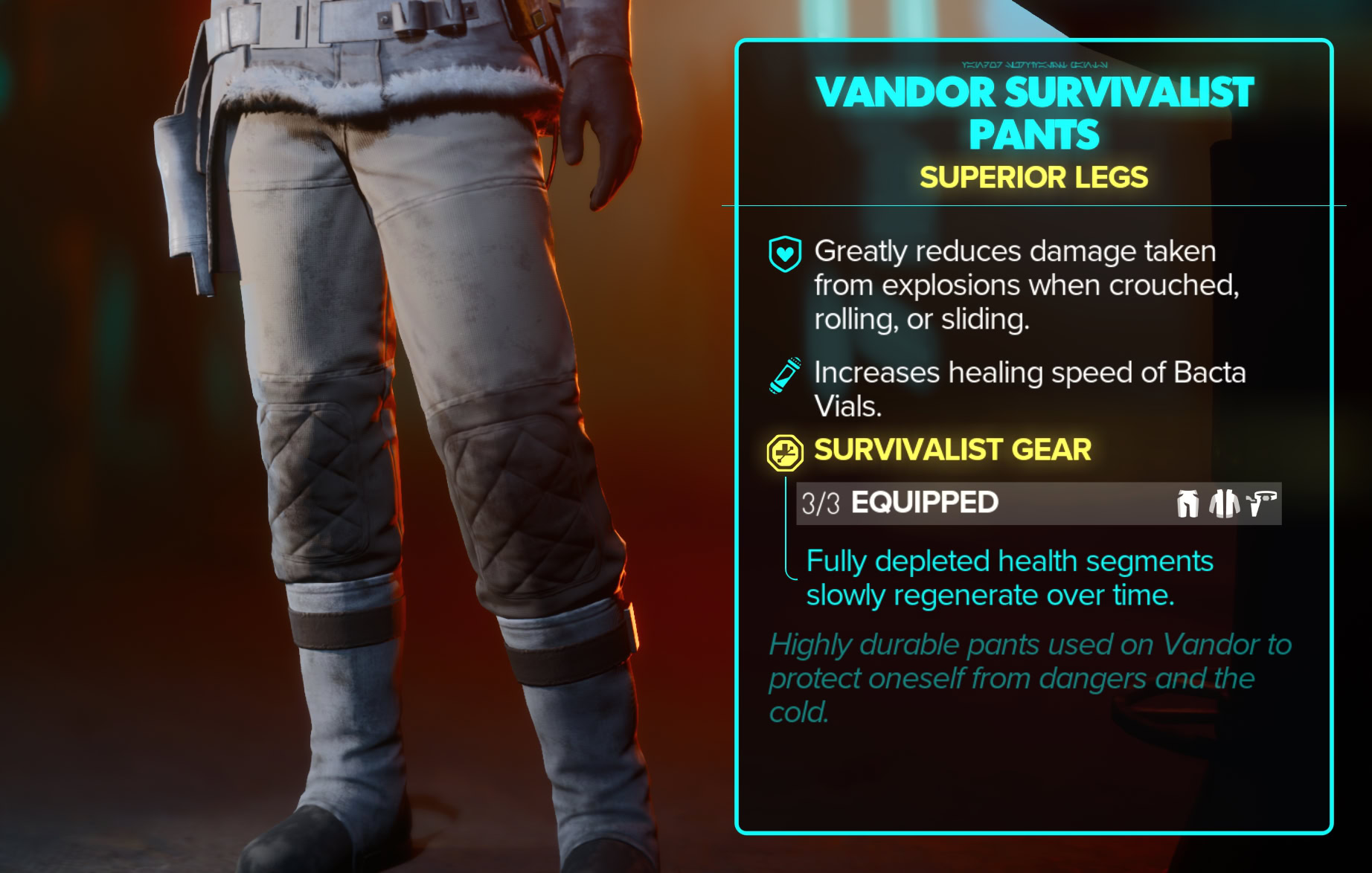 Vandor Survivalist Stats, Set Bonus, and Close-ups - pants