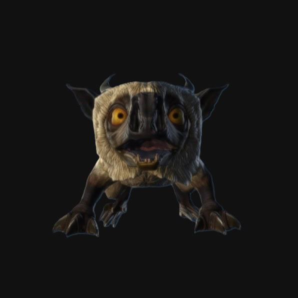 Curious Rodir Cub