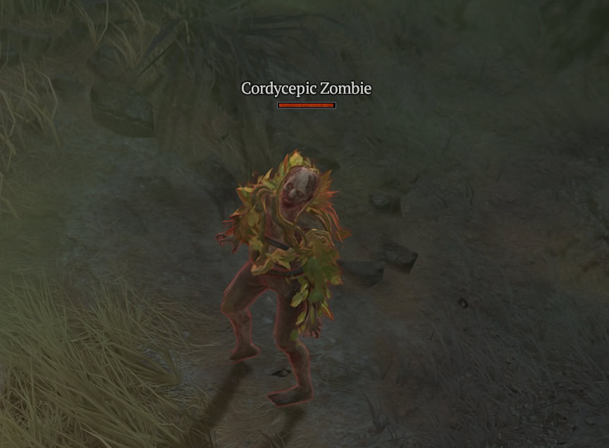 Diablo 4 - Cordycepic Zombie