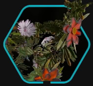 Naboo Coronation Flowers Trophy Icon