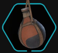 Scout Canteen Trinket Icon