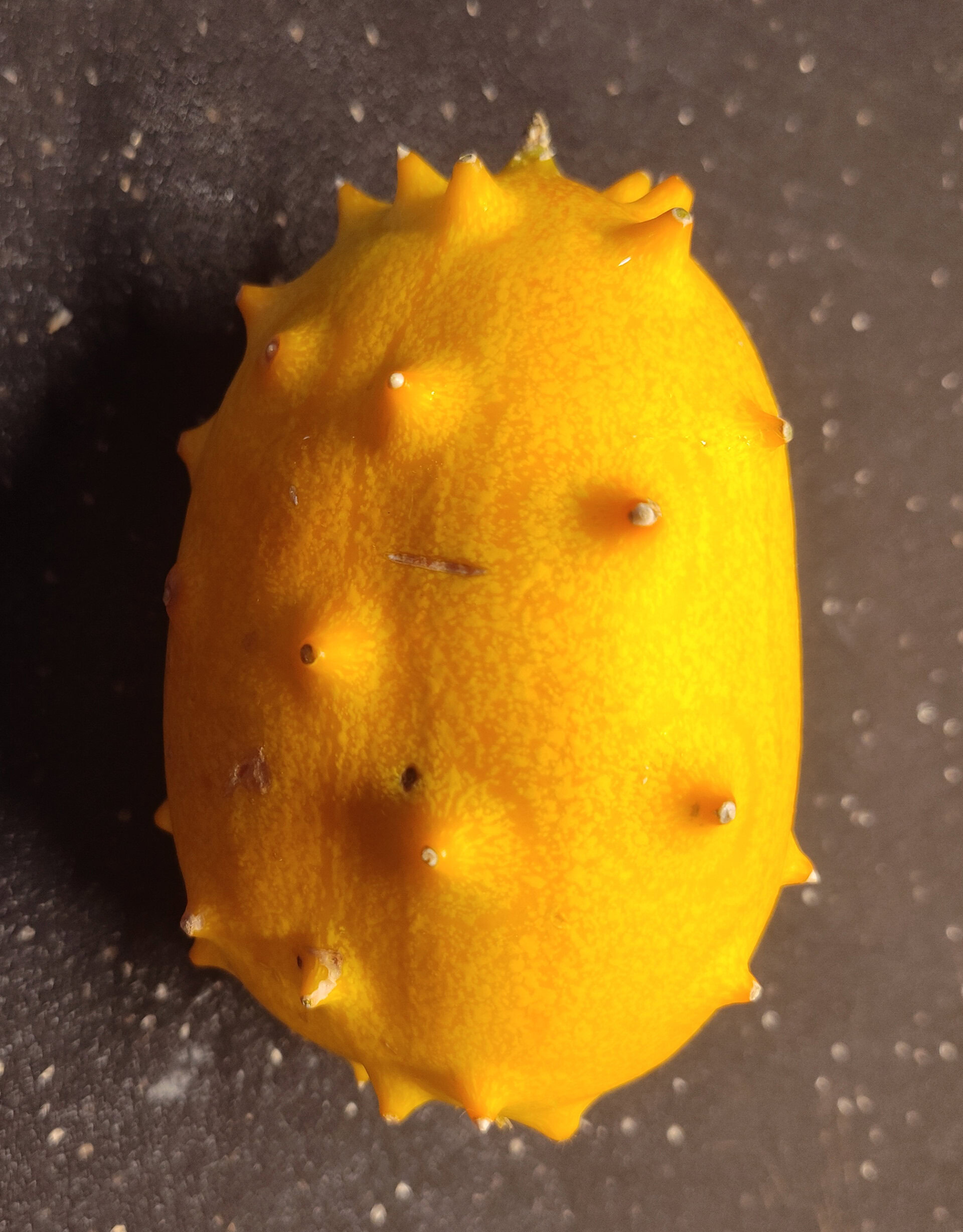 A kiwano melon, the fruit that chuga fruit is modeled after.