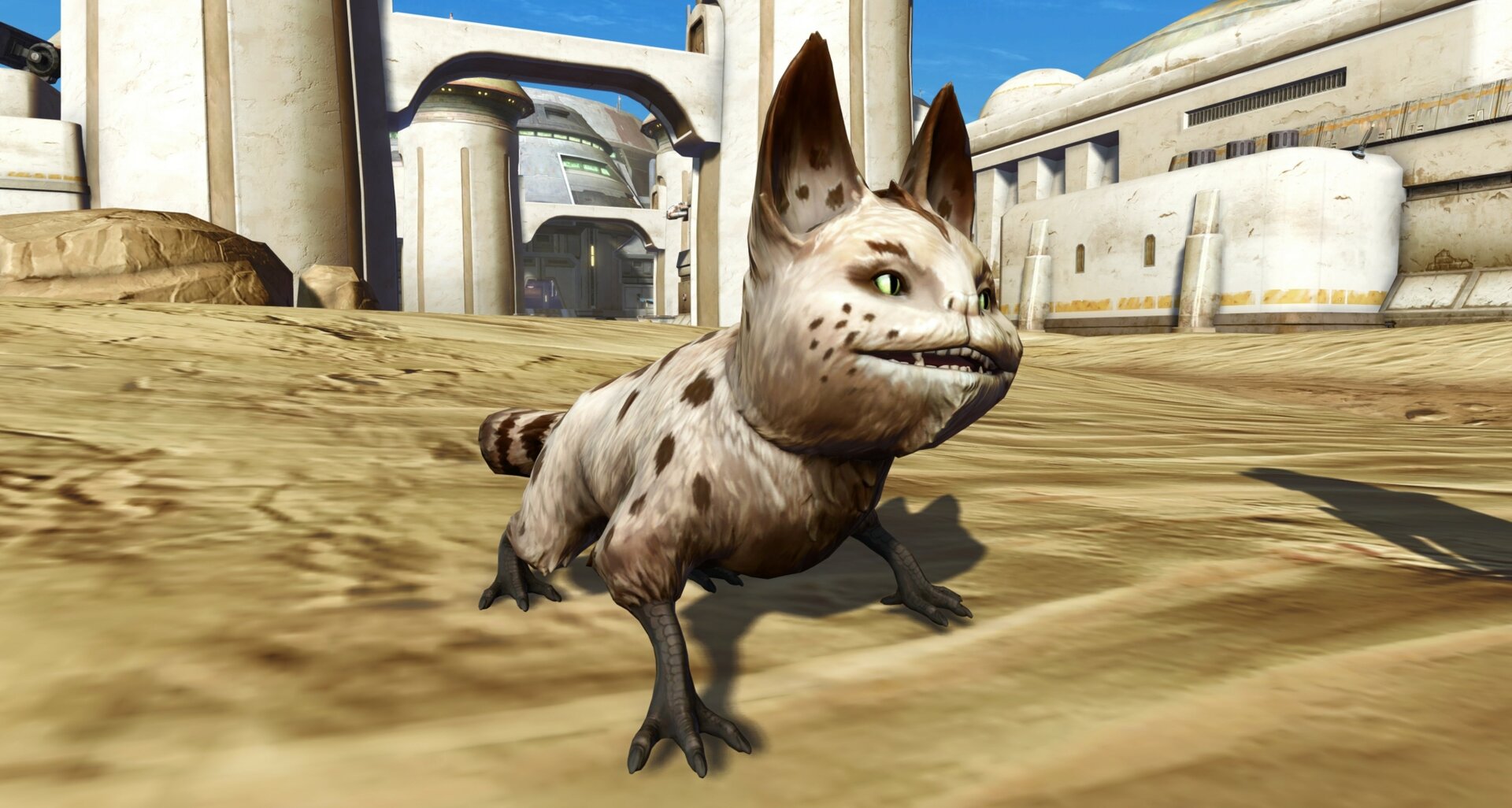 Freckled Loth Cat