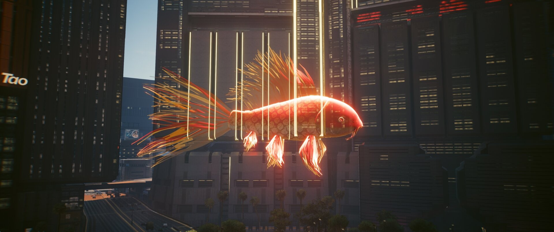 Holographic fish