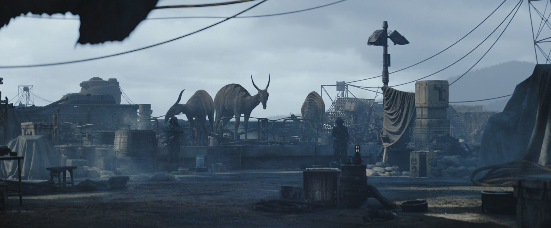Horned Eopies