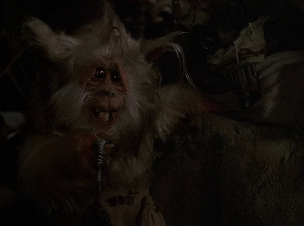 Teek the battle of Endor
