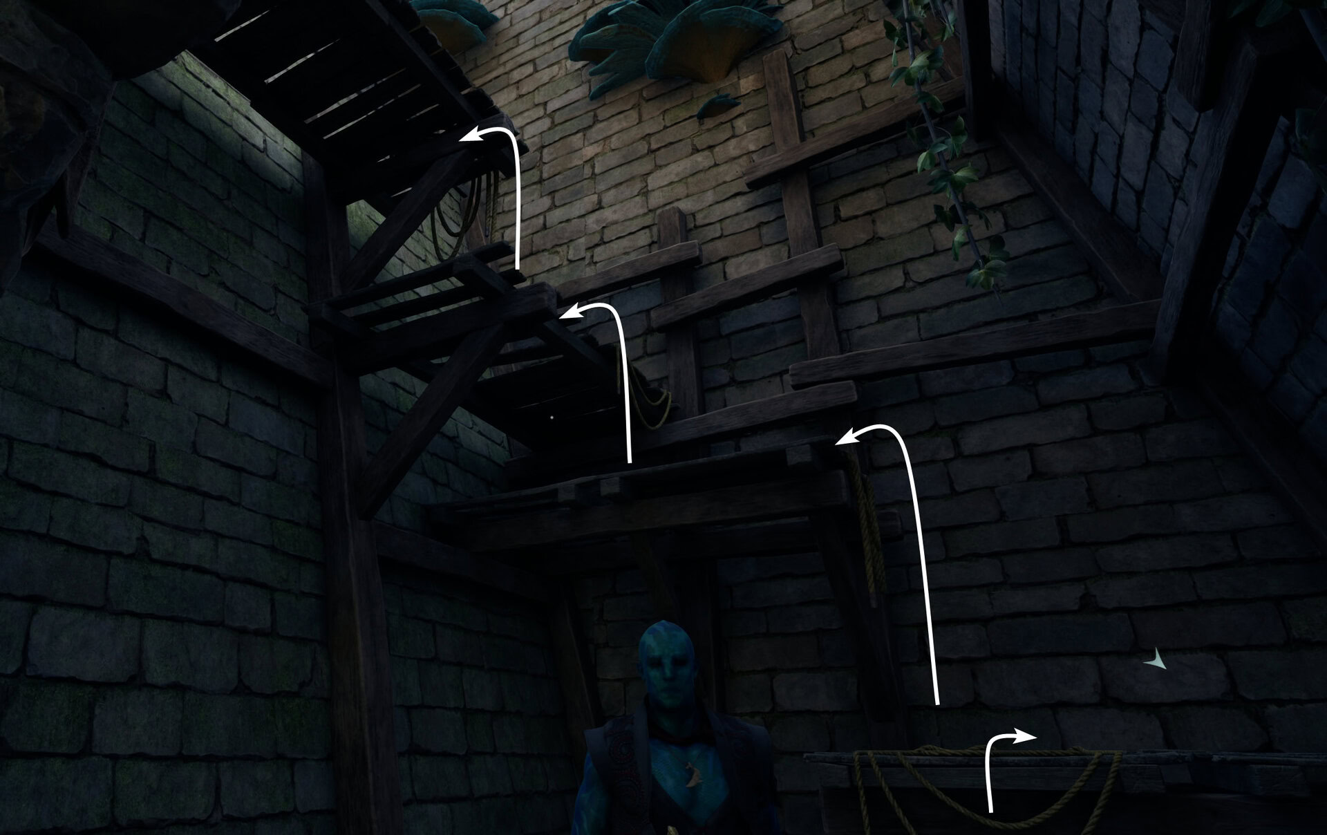 Climb to the top