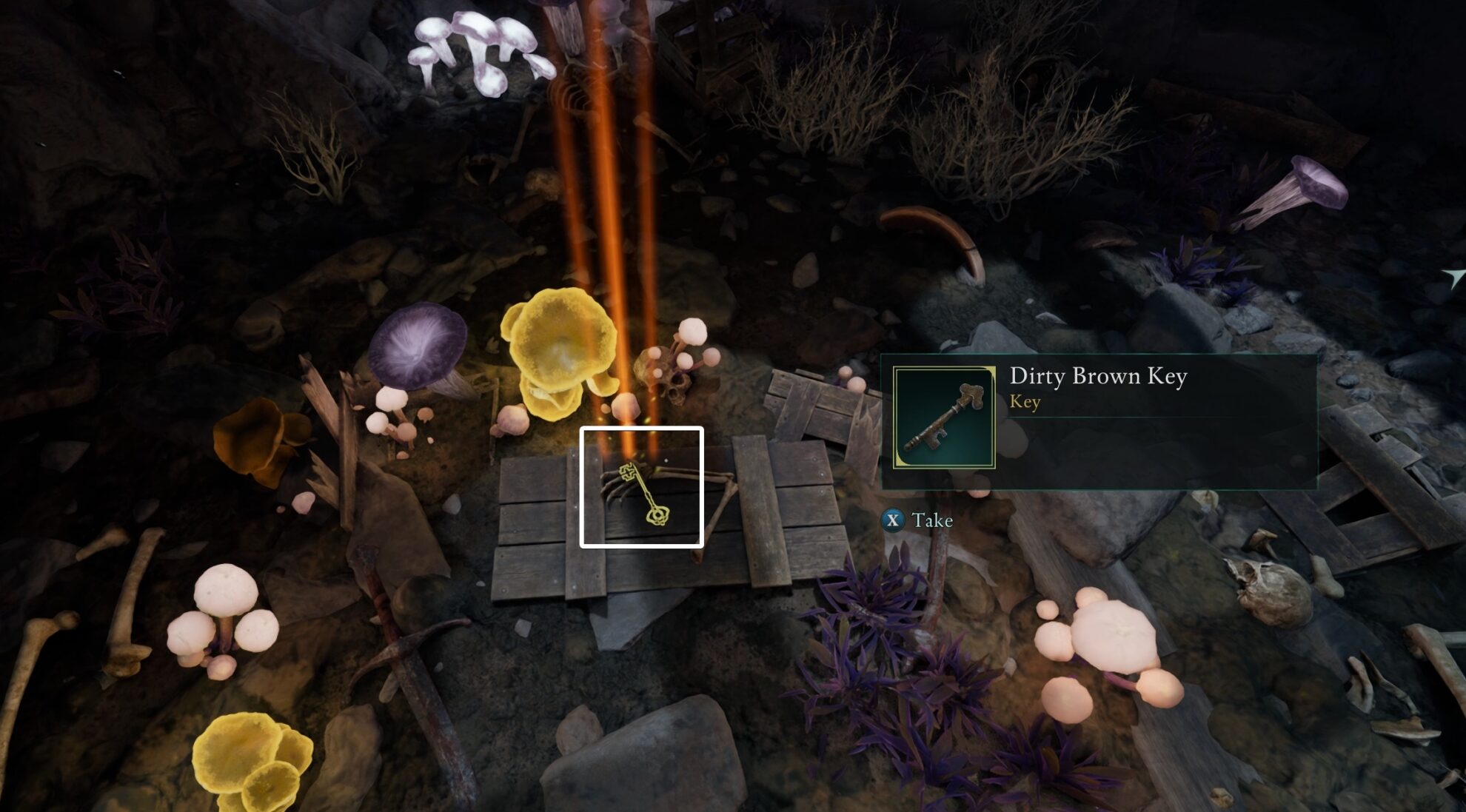 Dirty Brown Key