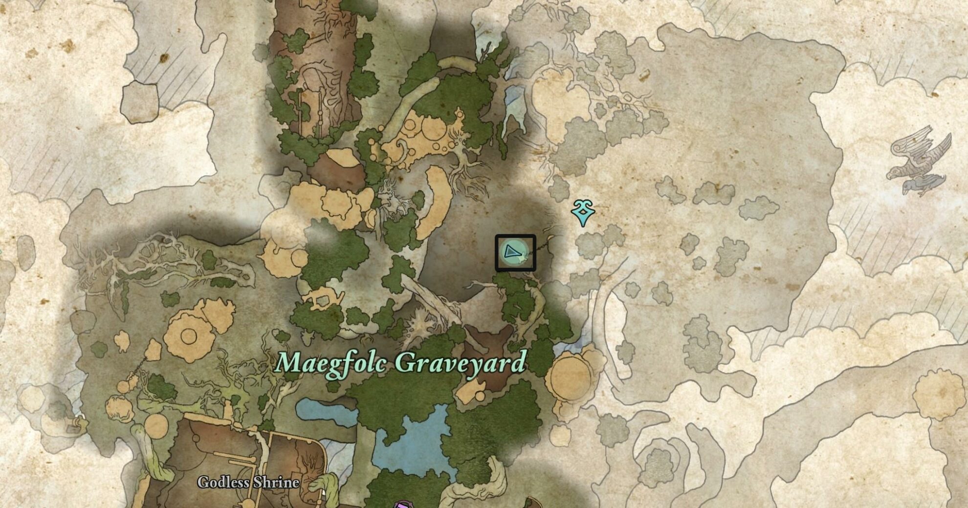 Ring of Amplification Map