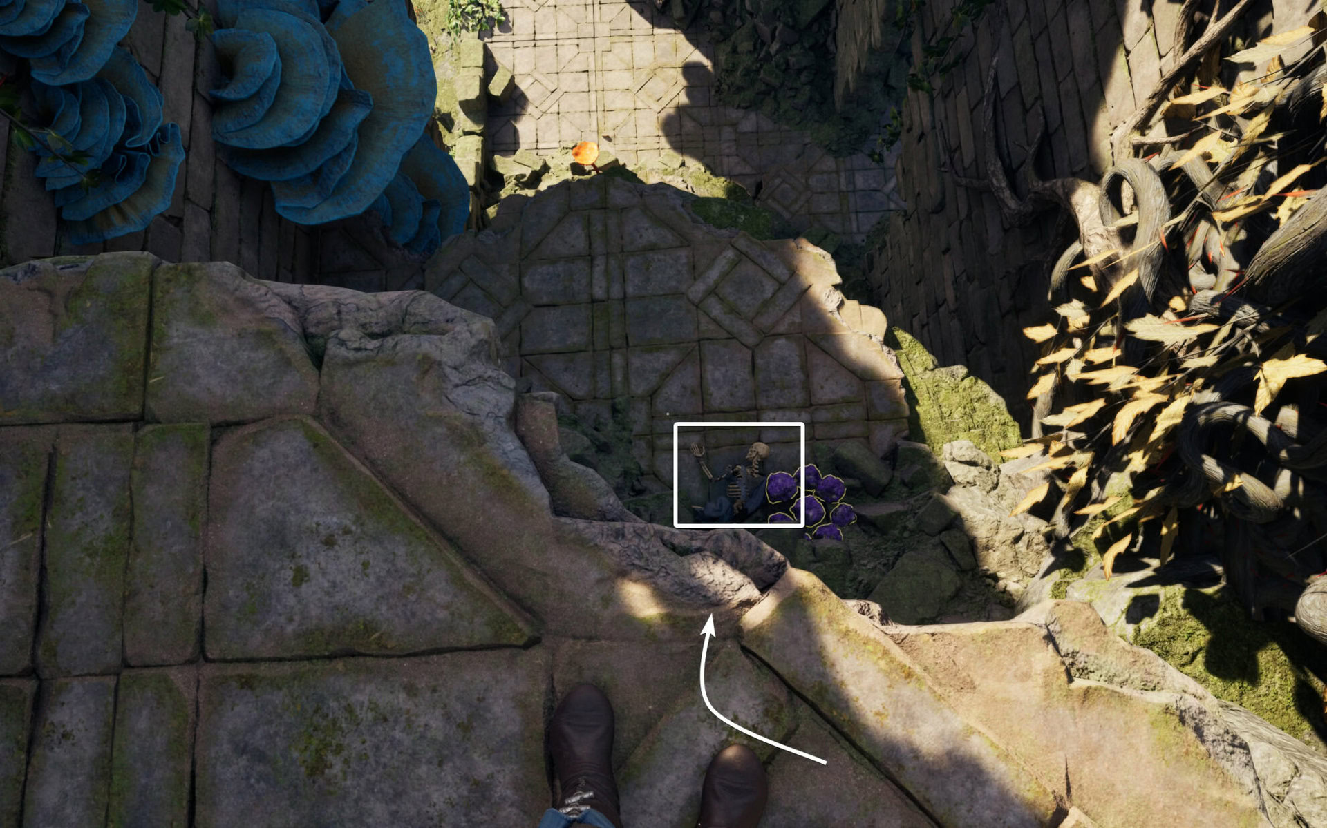 Skeleton loot