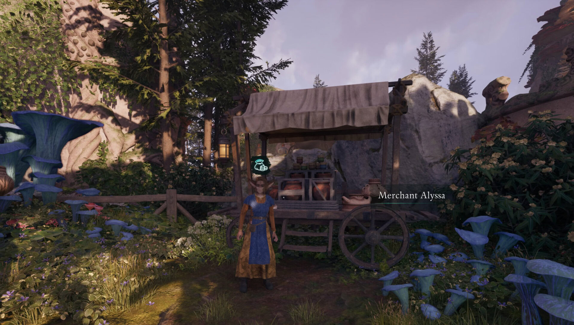 Warmage's Robe