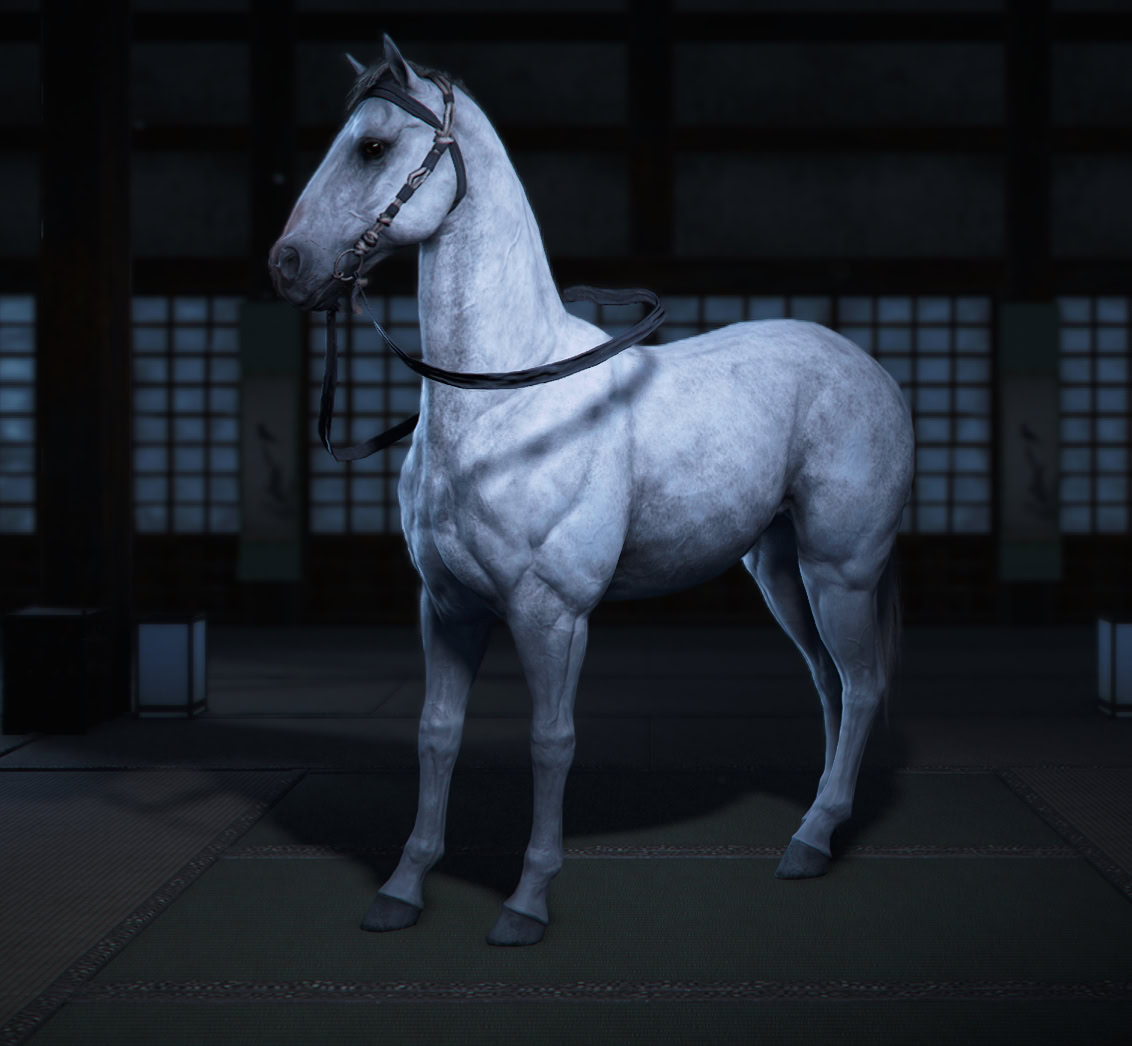 Akari Mount - Harima Archery Arena
