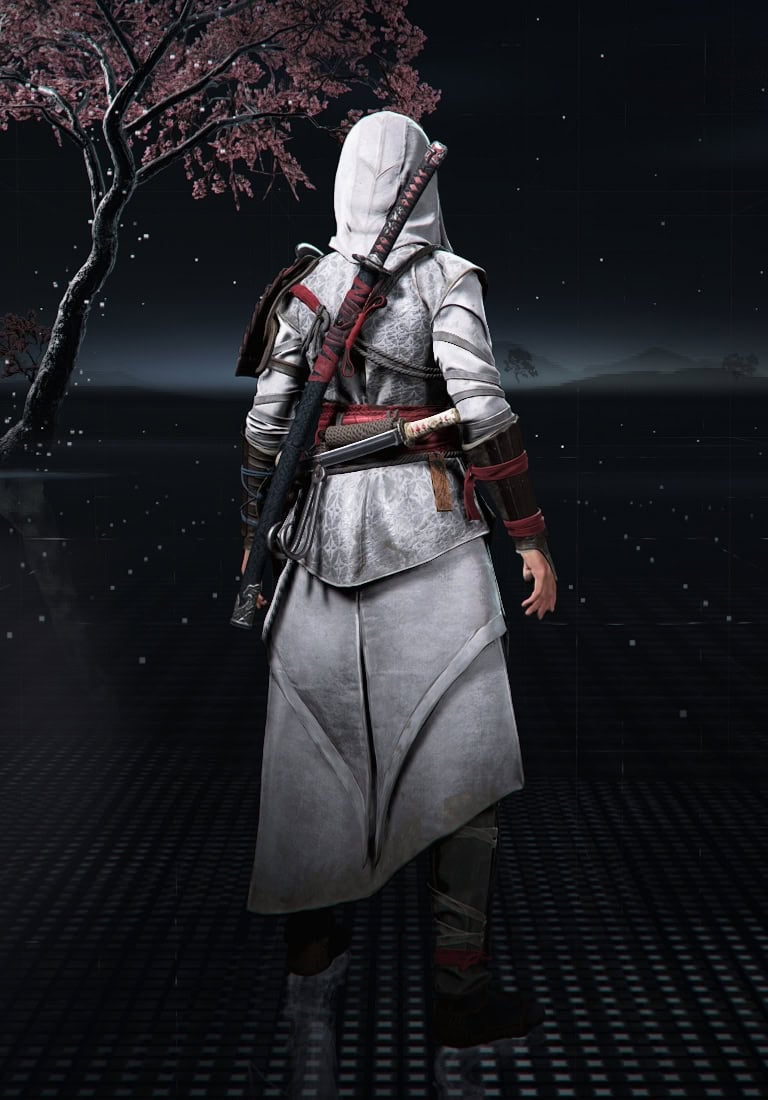 Apprentice Assassin Outfit Back