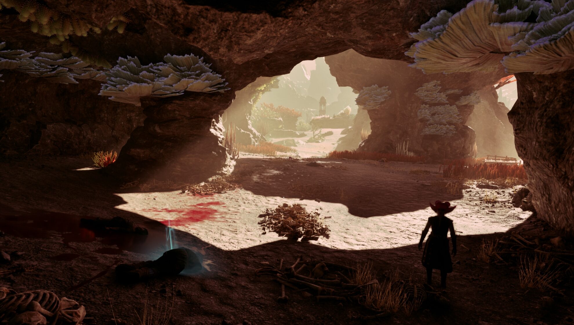 Cartographer's Companion