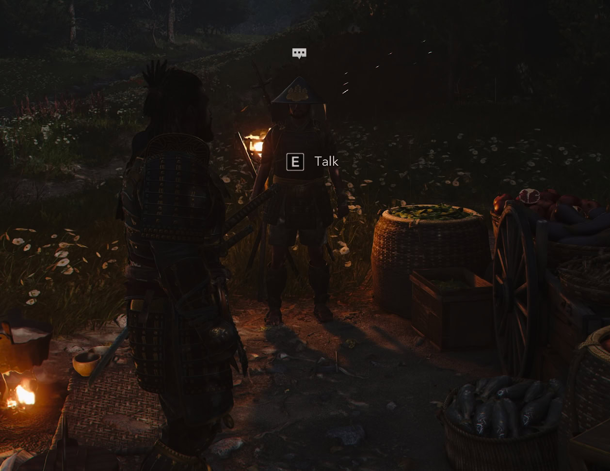 Conversation with a random NPC