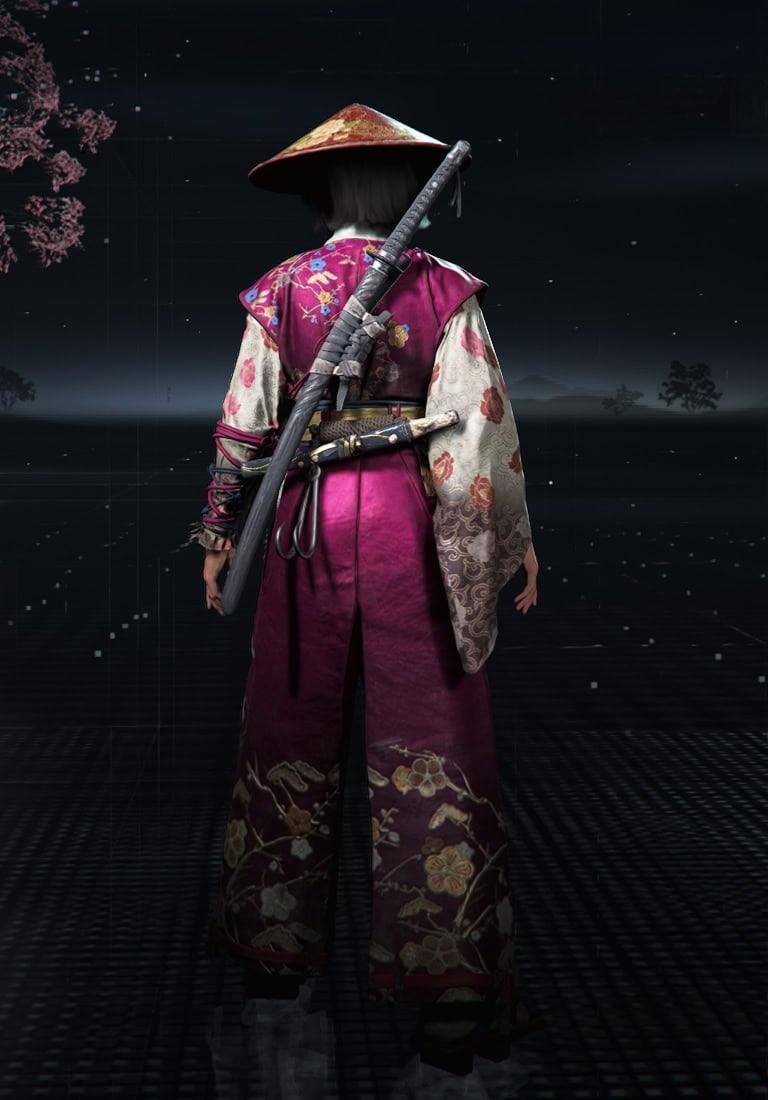 Hidden Servant Set Visual Overview Back