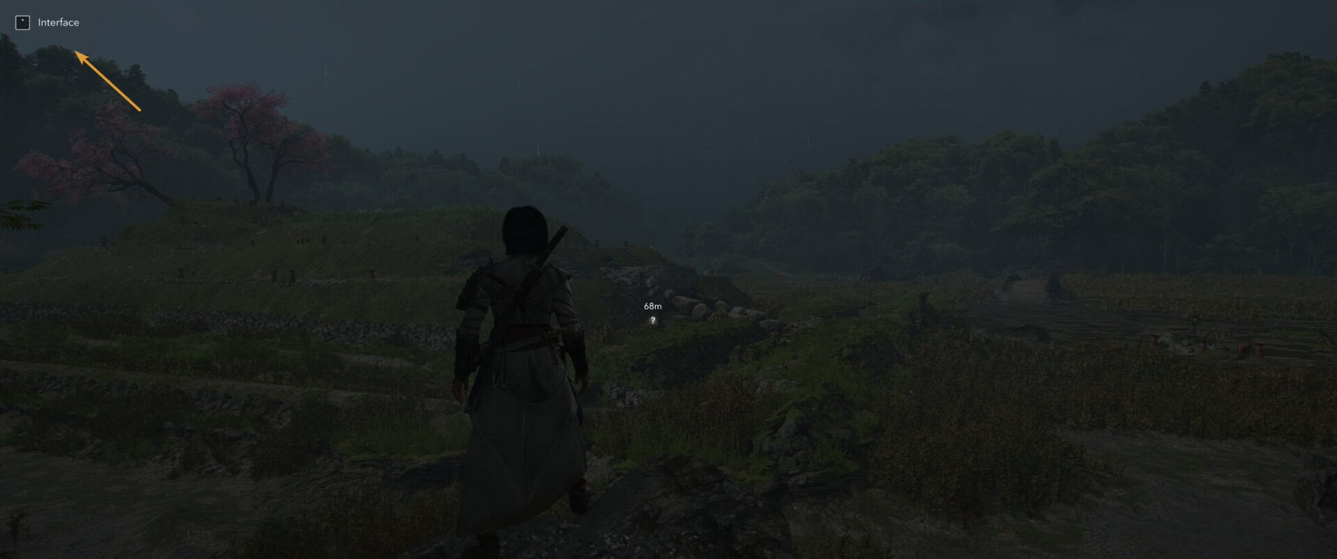 Hiding the UI for an immersive view