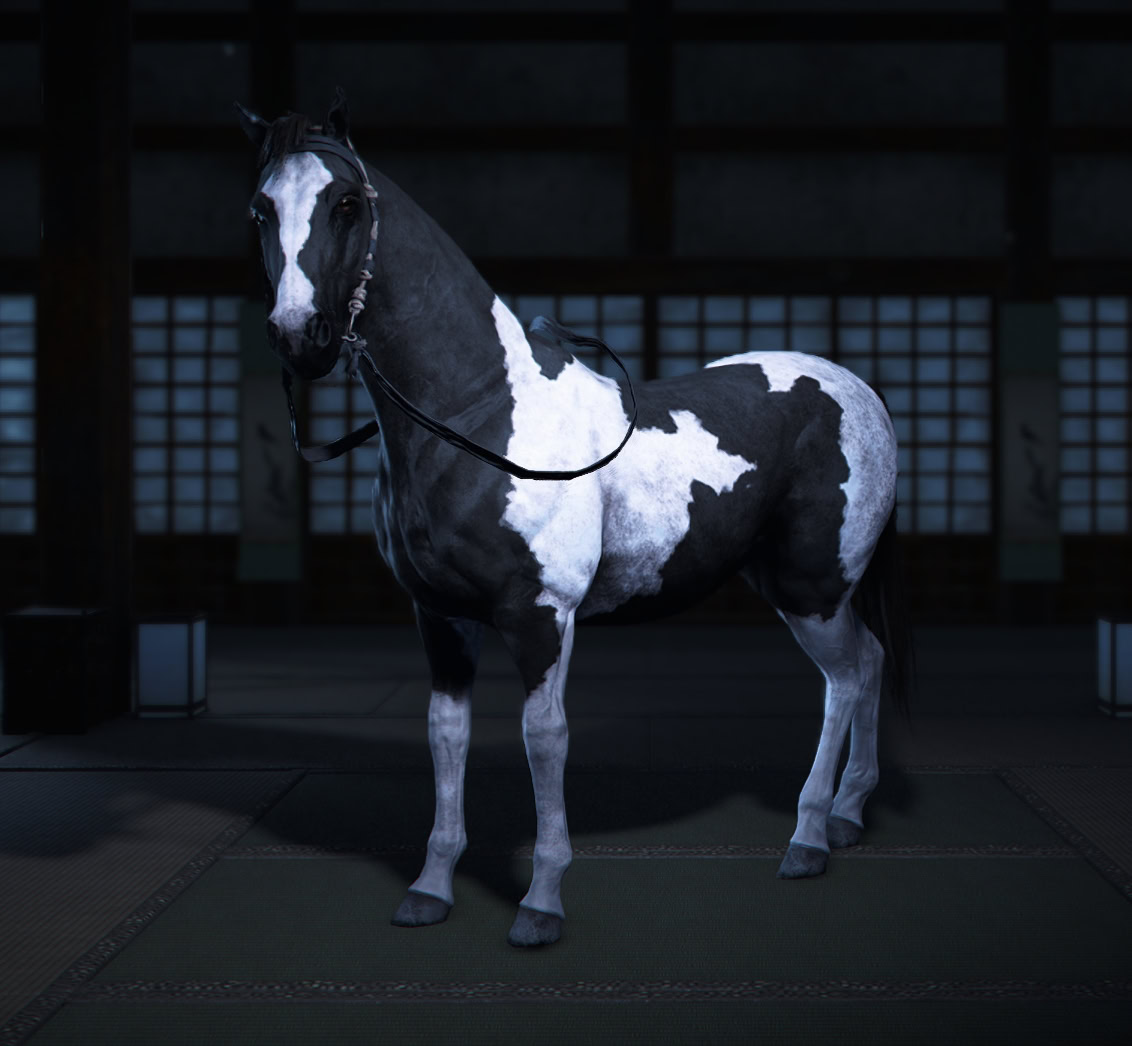 Ishu Mount - Omi Archery Arena 1