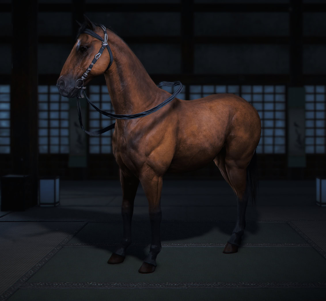 Maple Mount - Settsu Archery Arena