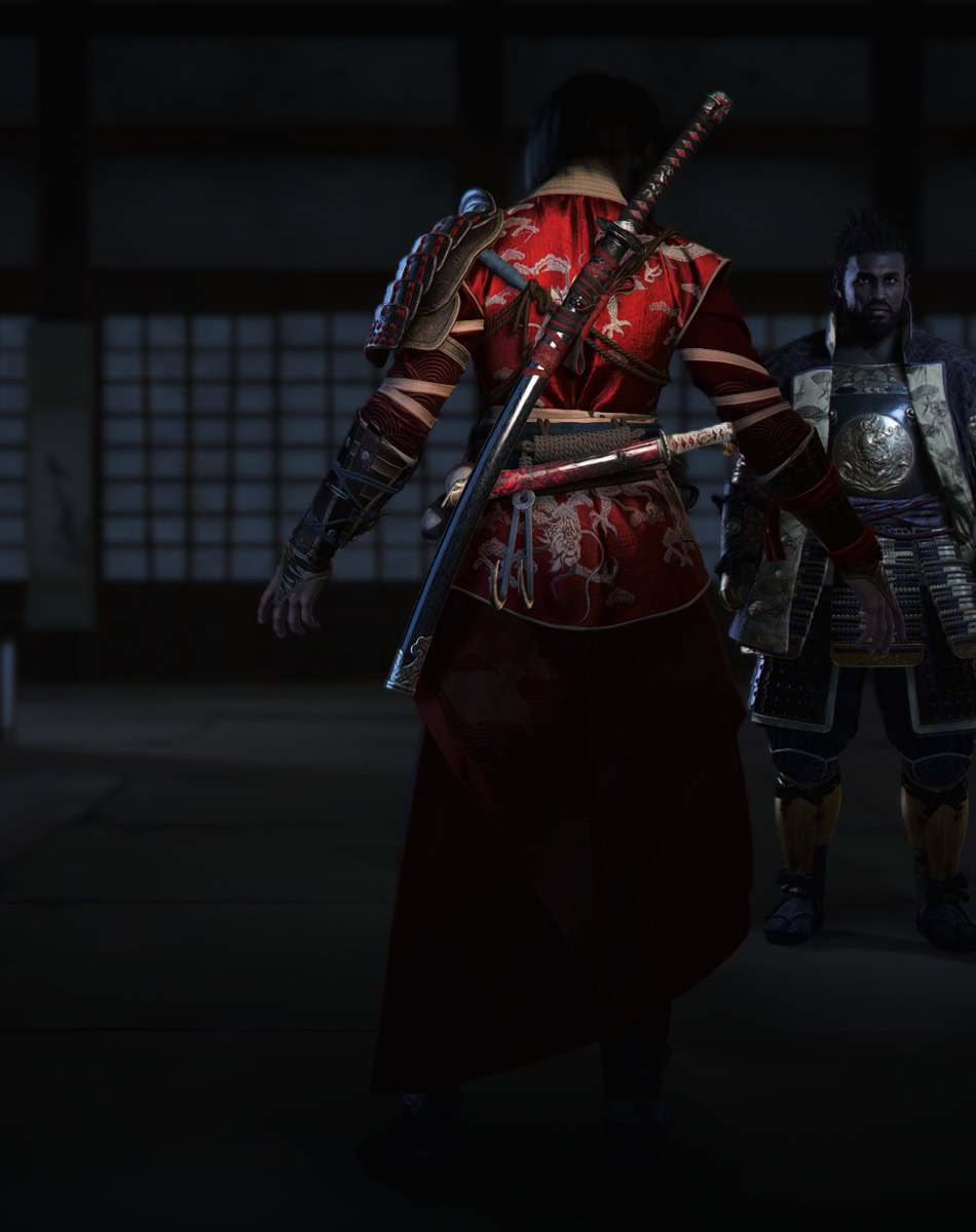 Master Assassin Back Preview