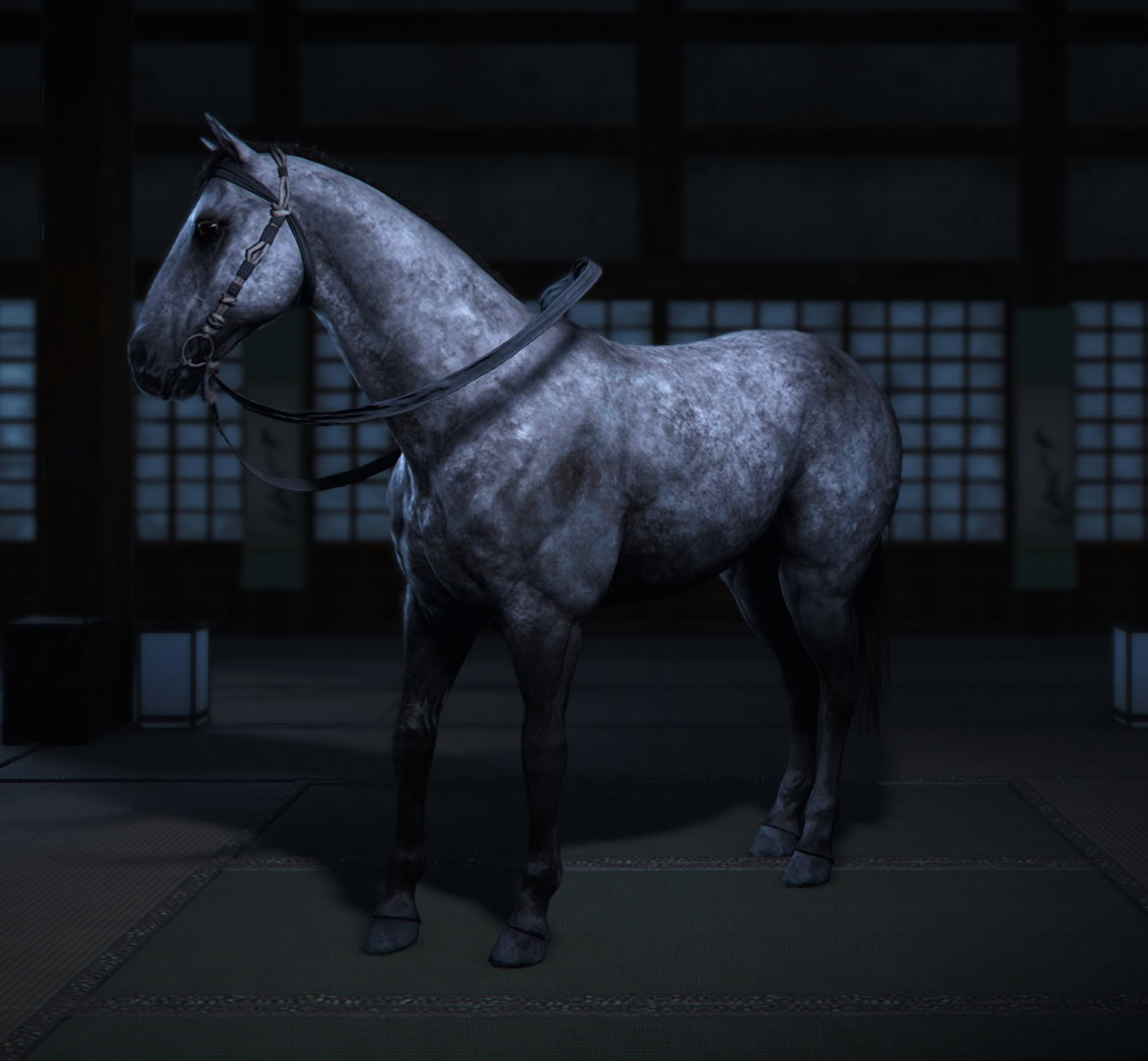 Moonlught Mount - Yamato Archery Arena