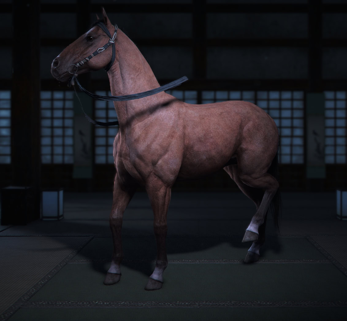 Shunsoku Mount - Yamashiro Archery Arena