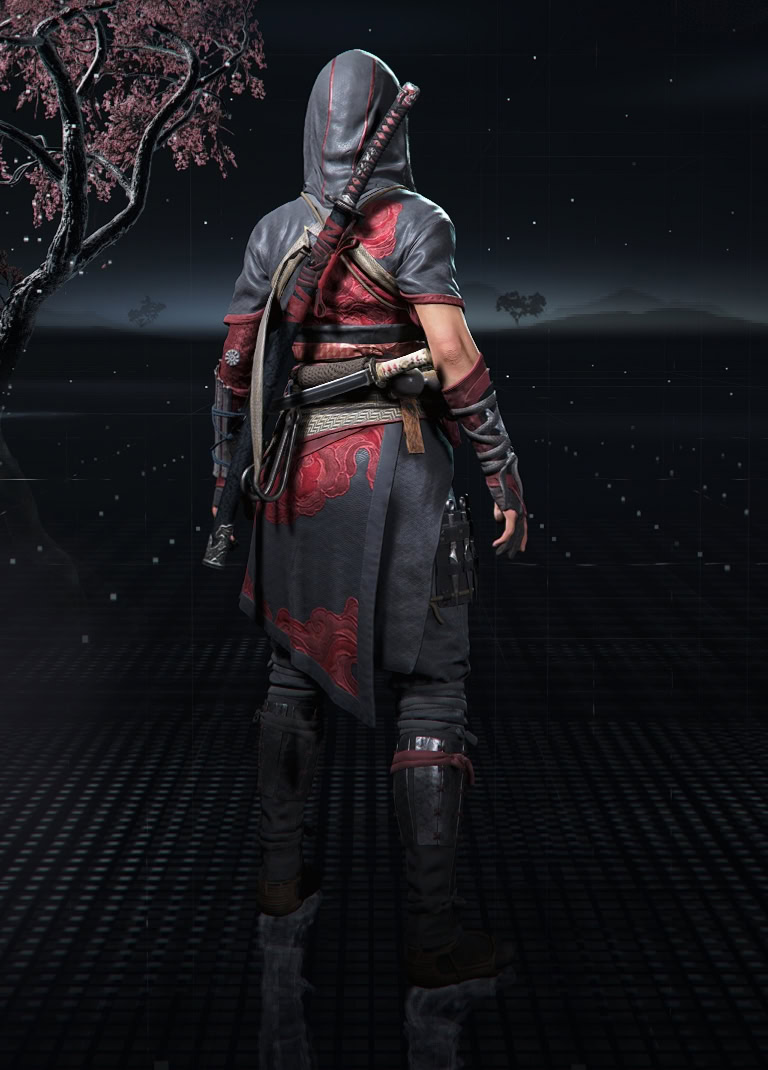 Swift Shinobi Set Visual Overview Back