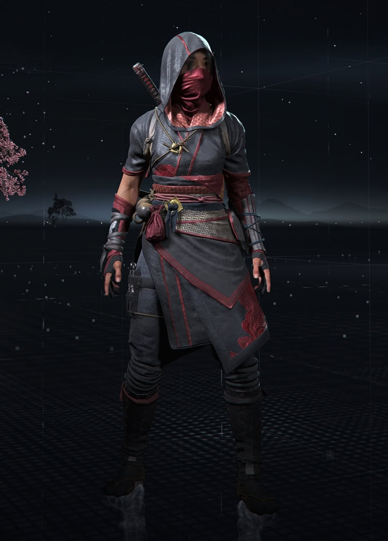 Swift Shinobi Set Visual Overview Front