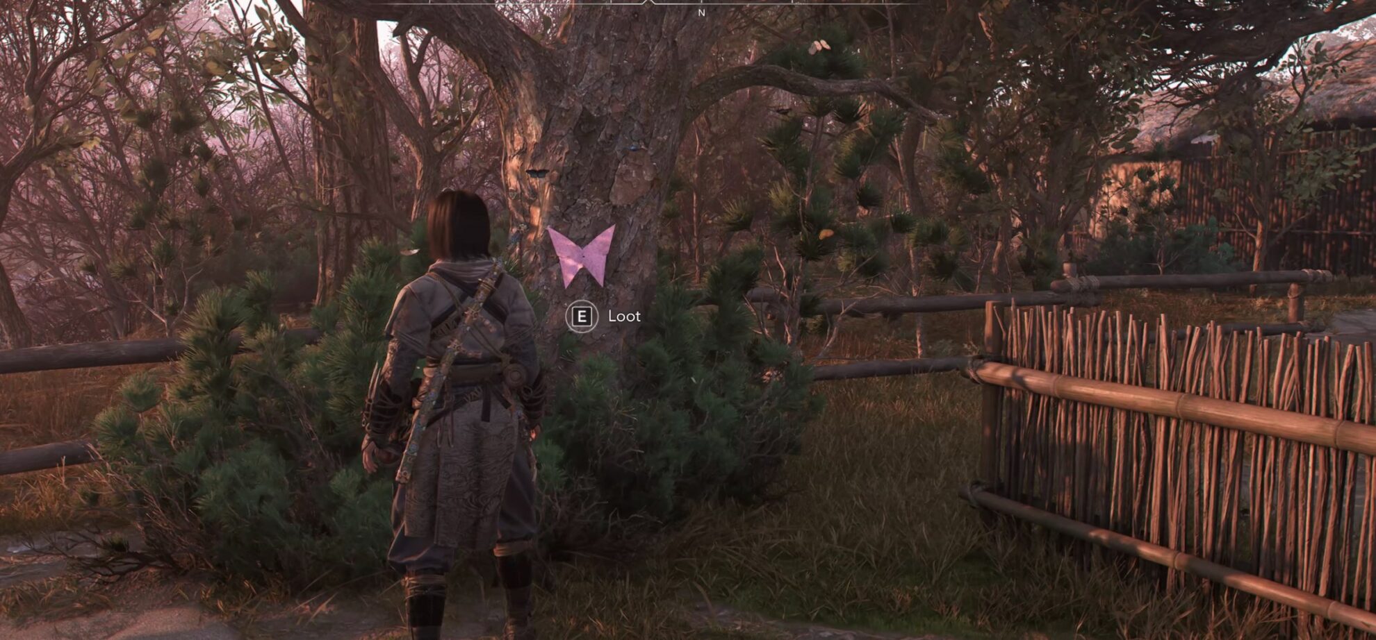 Butterfly Collector pink butterfly