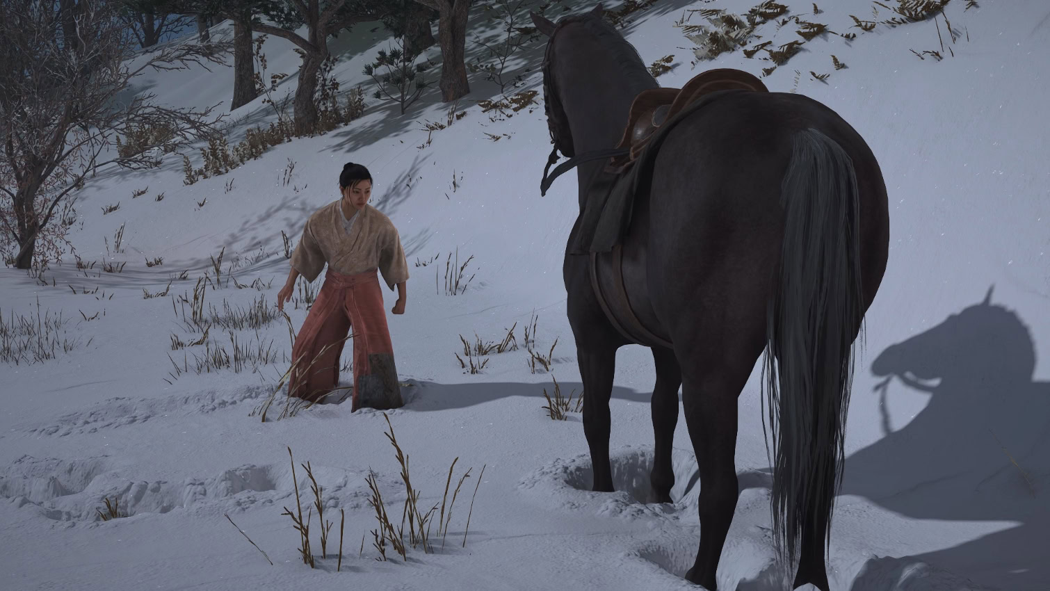 Capture the horse