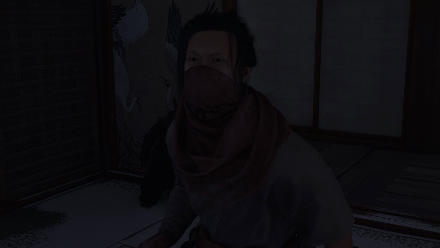 Toro the Shinobi
