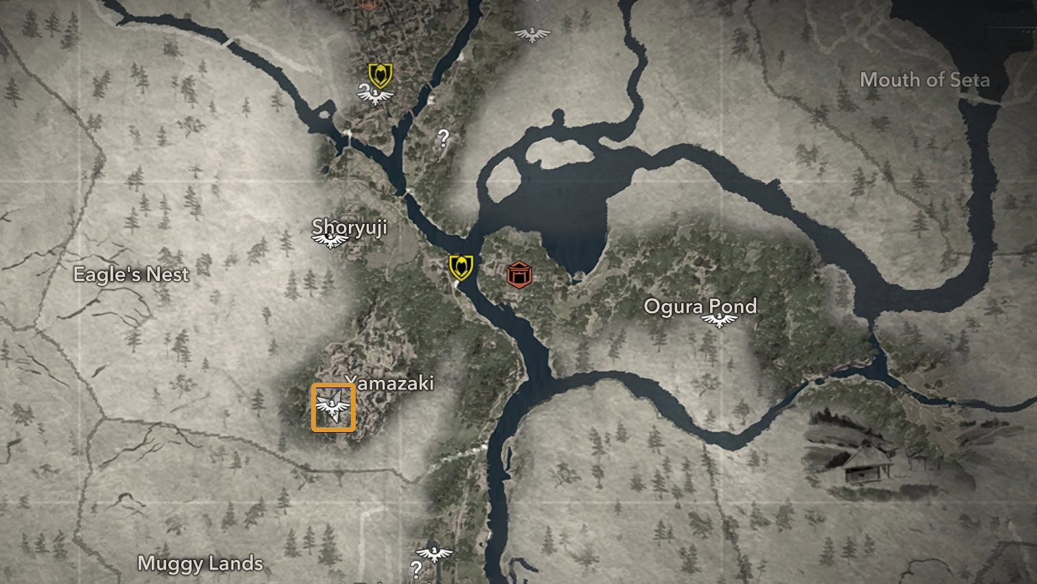 Umbrella Location