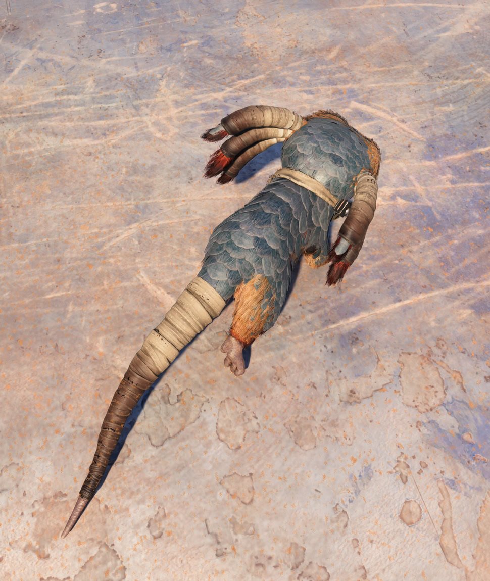 Desert Nomad Nix Accessory - Back