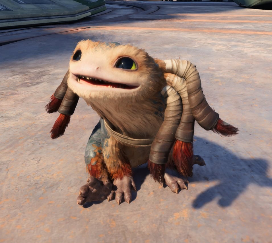 Desert Nomad Nix Accessory - Front