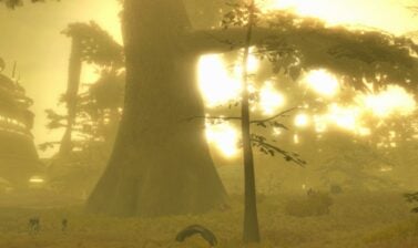 Hutta Dynamic Encounters Featured Cut