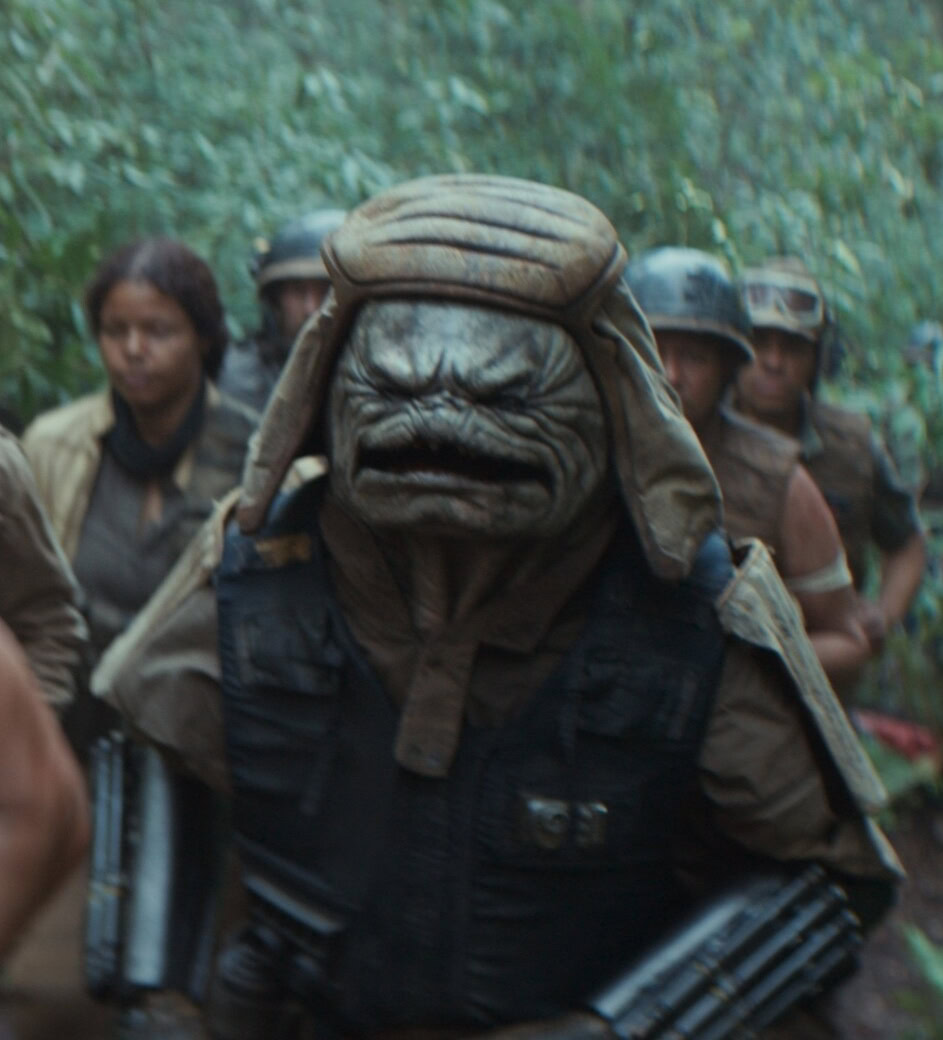 Pao from Andor and Rogue One
