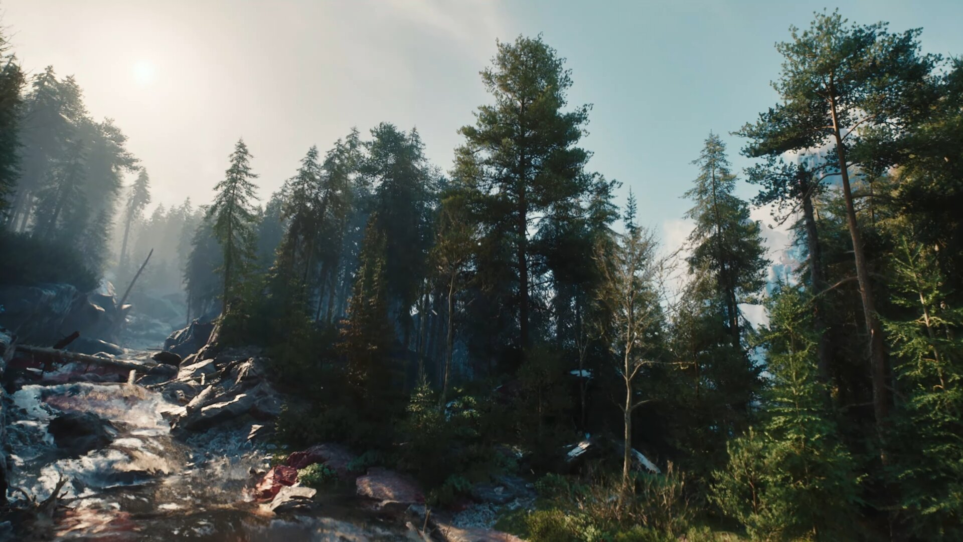 Forest in Kovir in The Witcher 4