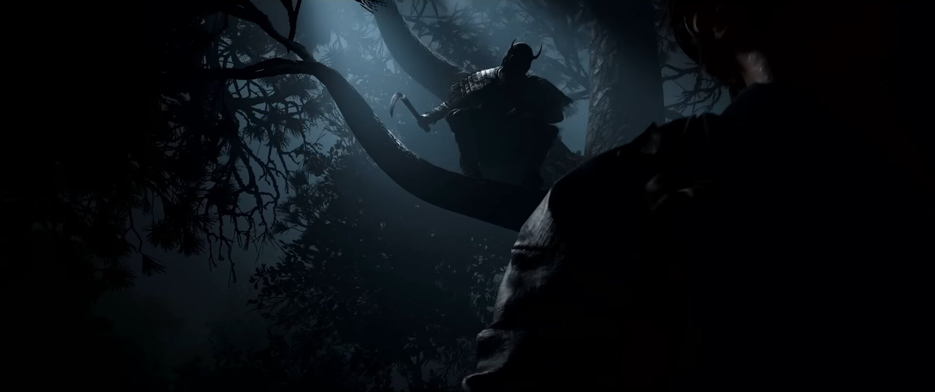 Claws of Awaji Roadmap Trailer Ninja in Tree