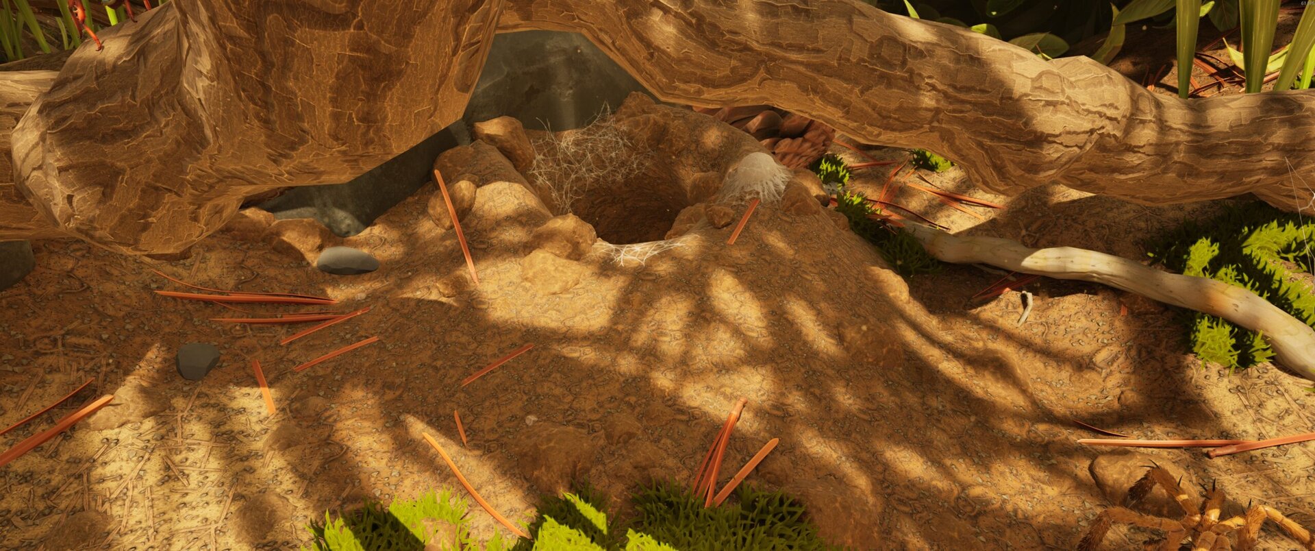 Spider Den Anthill North Entrance POI