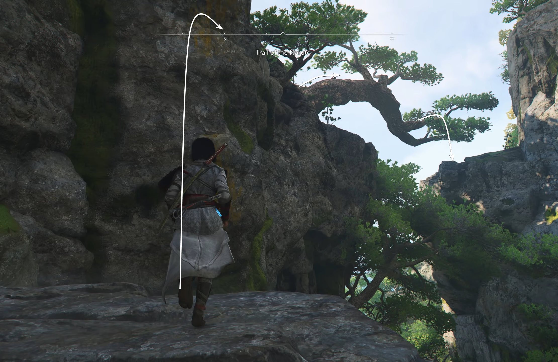 Get to the tree and hop from it to the other side