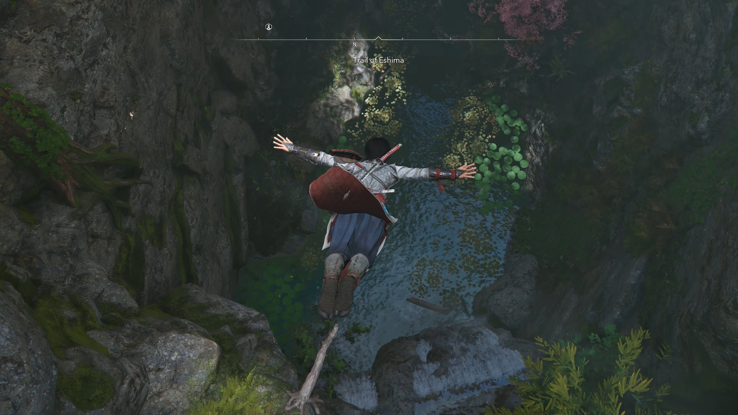 Leapt of fate into the water pool