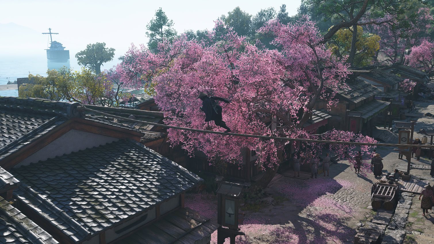 Move on the Rooftops Awaji