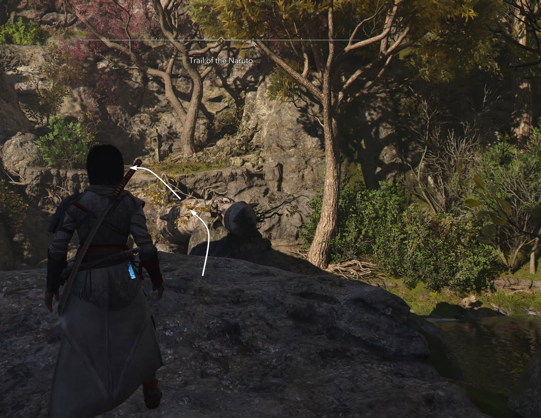 Trail of Naruto starting point