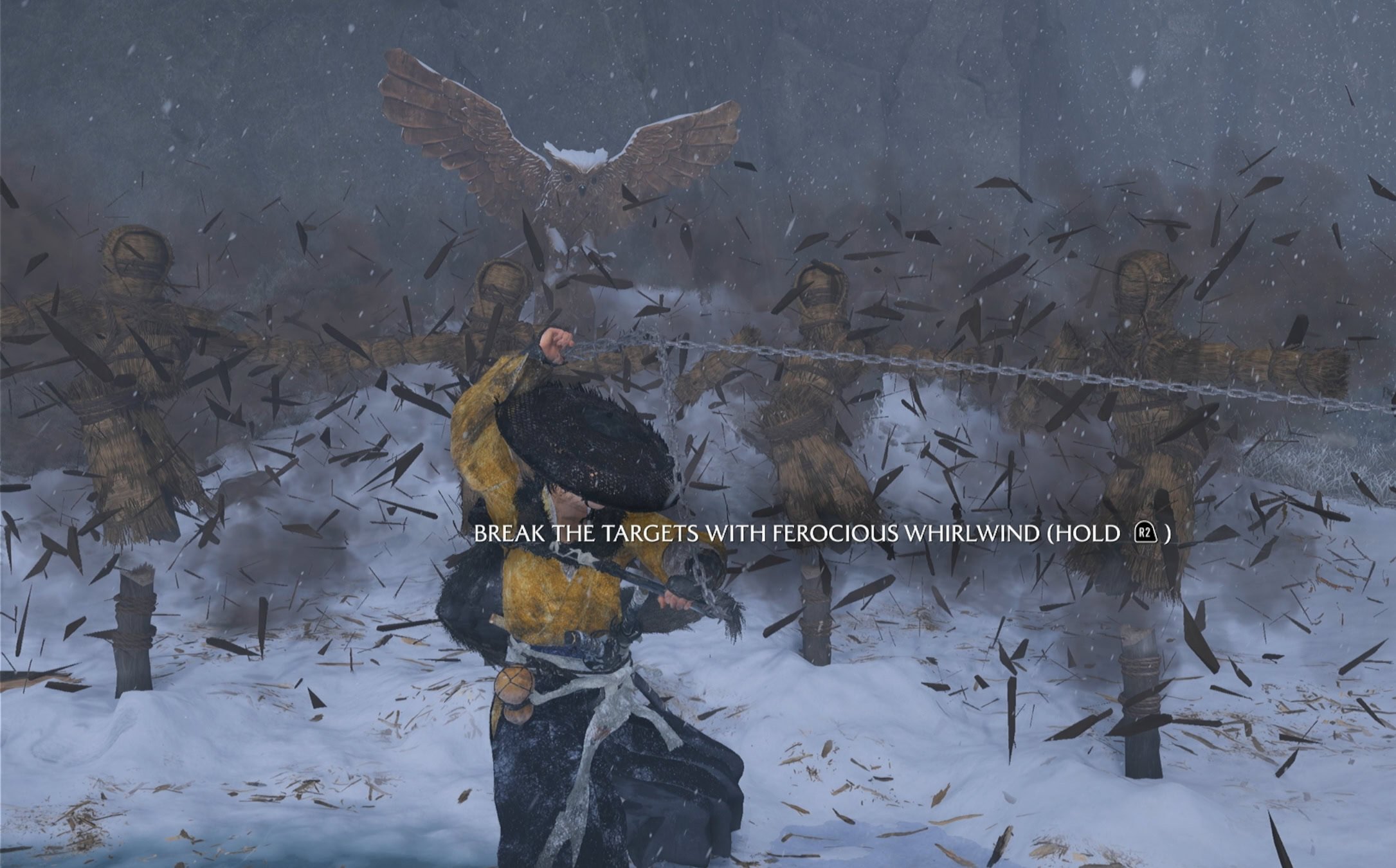Destroy the Training Dummies Ferocious Whirlwind