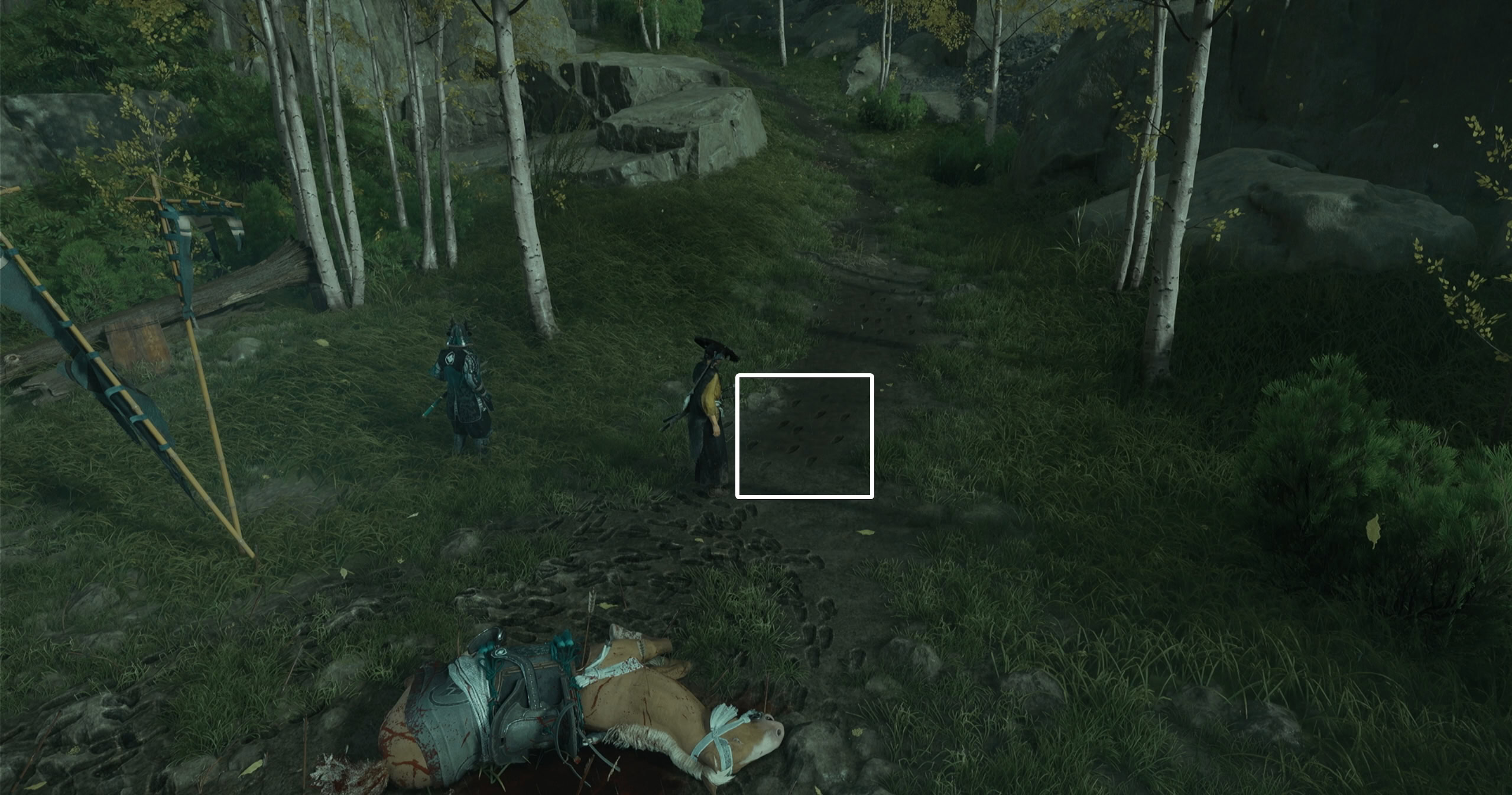 Examine the footprints going uphill