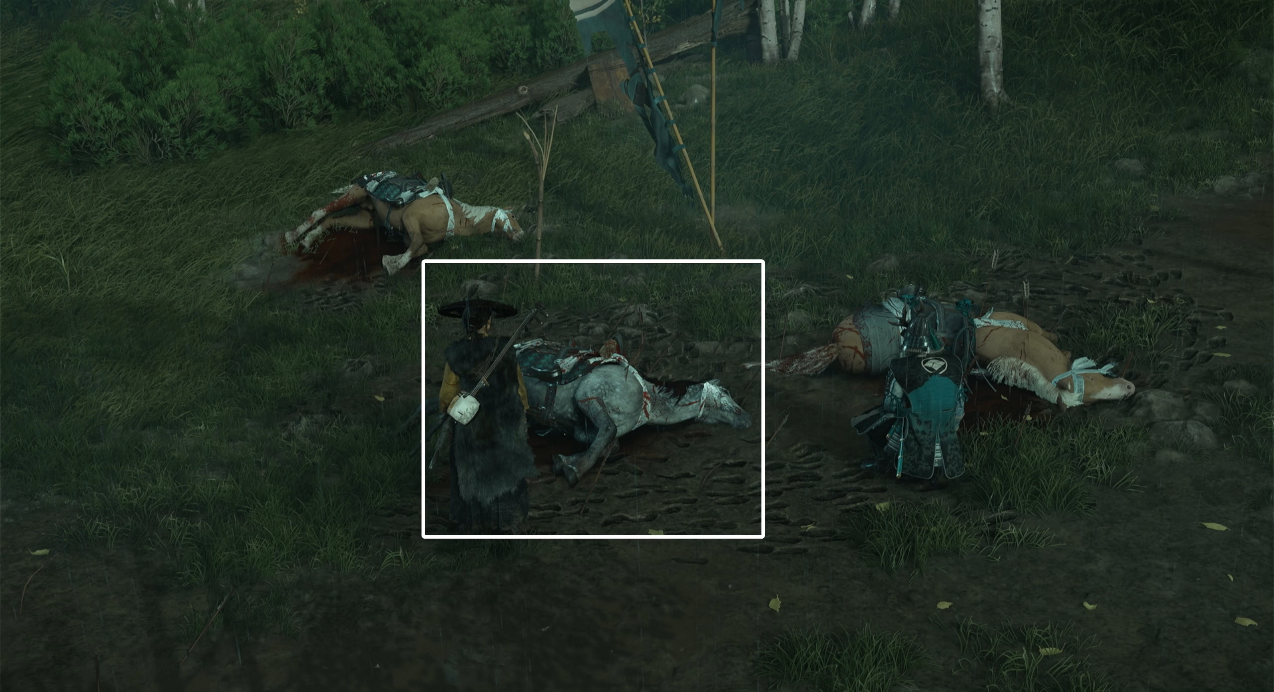 Investigate the gray horse