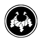 Minor Defense Charm Icon